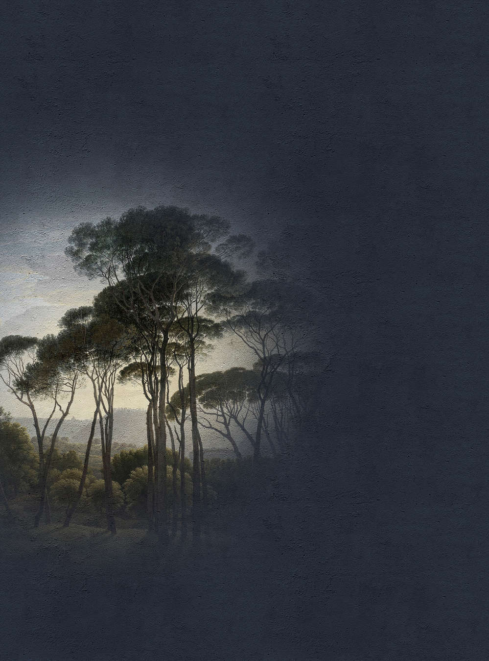 walls by patel impression numérique Walls by Patel