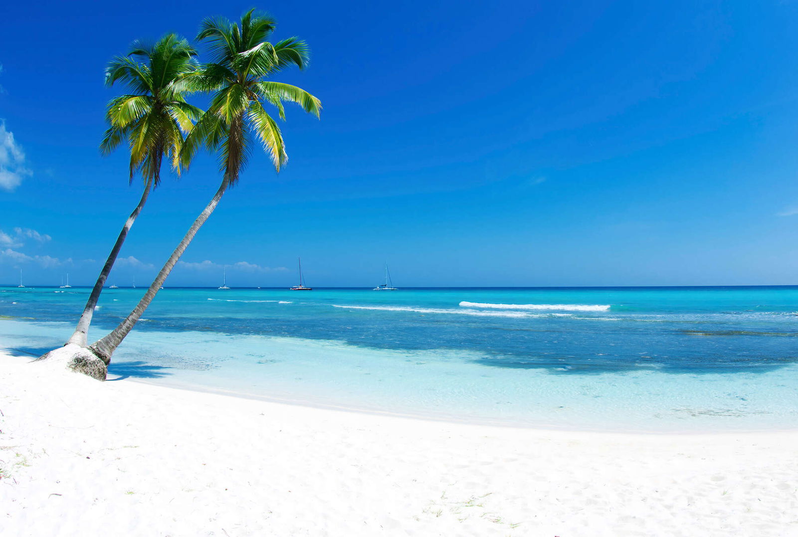 livingwalls impression numérique XXLwallpaper 3