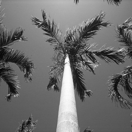 Architects Paper Fototapete AP Digital Architects Paper Fototapete AP Digital
