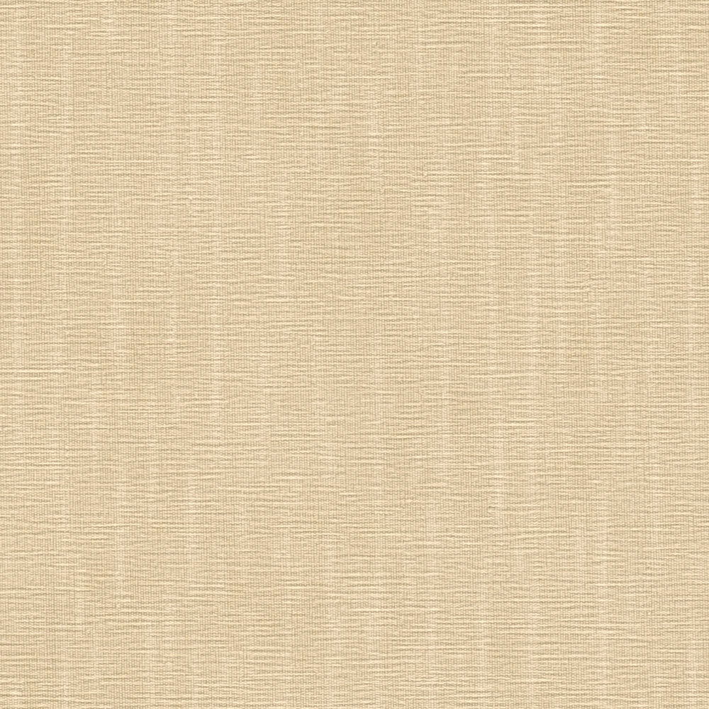 Versace Home Behang Versace 5