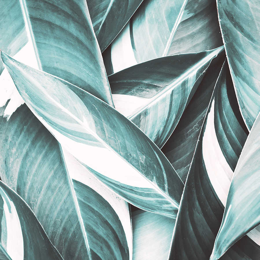 livingwalls Фотообои XXL unique