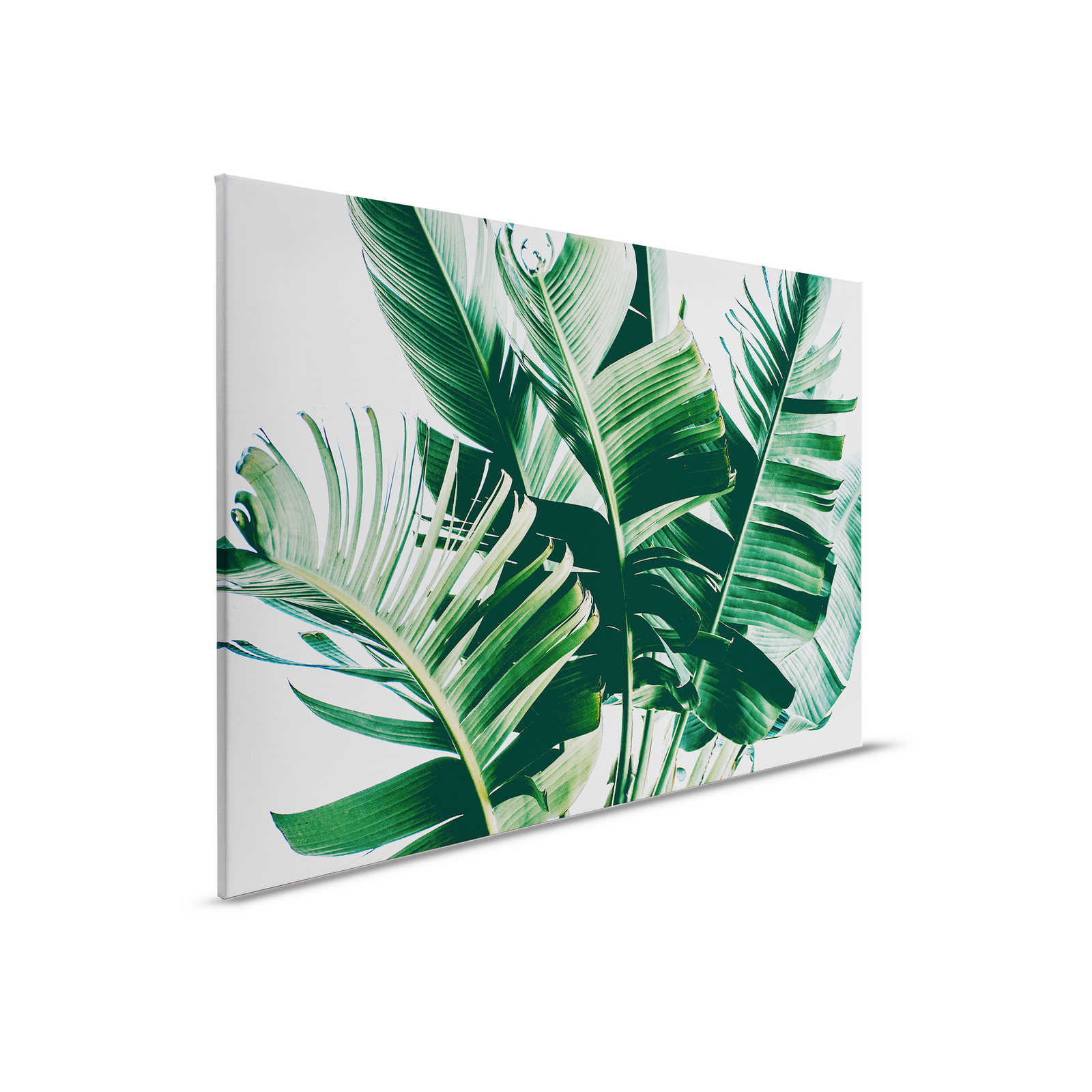 livingwalls Leinwandbild Designwalls 2 livingwalls Leinwandbild Designwalls 2