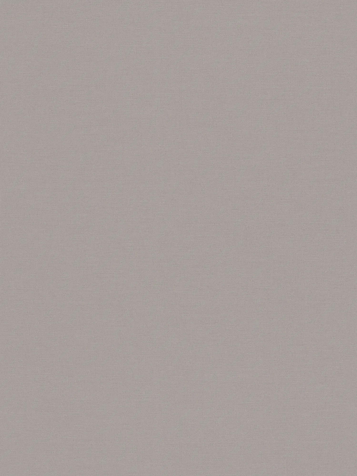 A.S. Création Wallpaper House of Turnowsky
