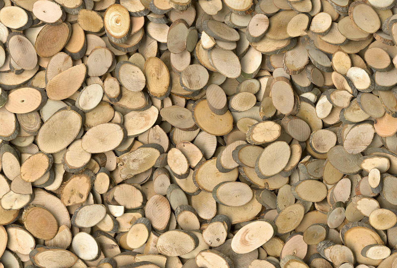 Architects Paper impression numérique AP Digital 2