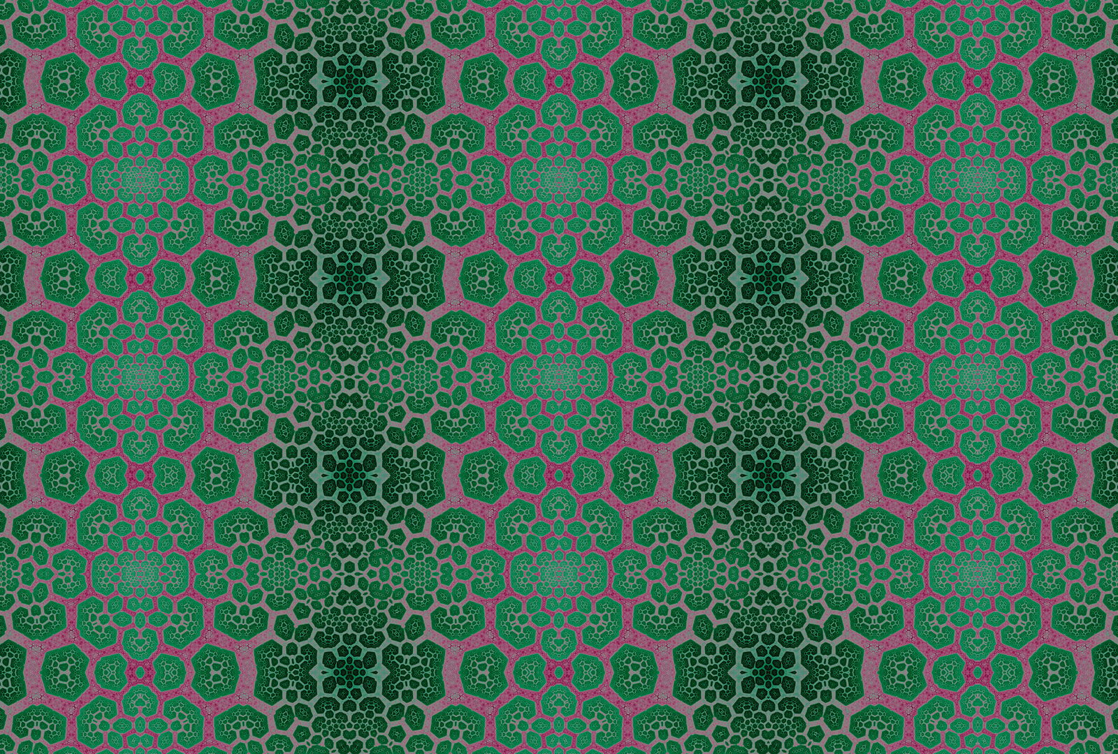 walls by patel impression numérique Walls by Patel