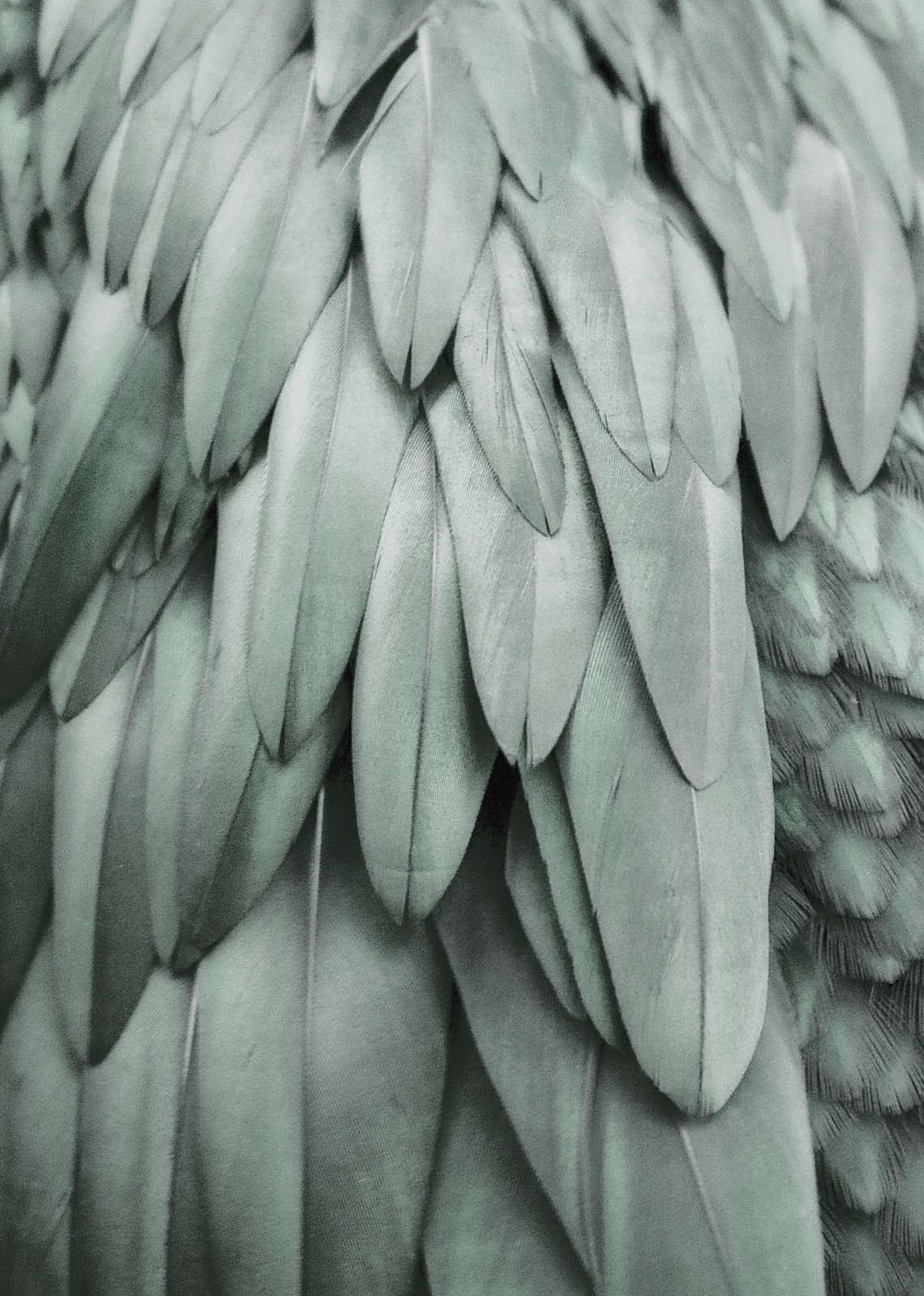 livingwalls Photo wallpaper ARTist