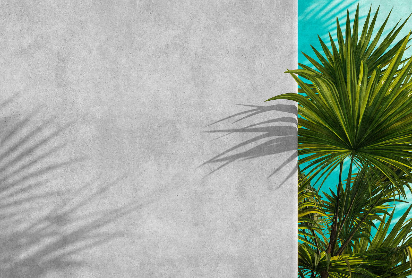 walls by patel Фотообои Walls by Patel 3