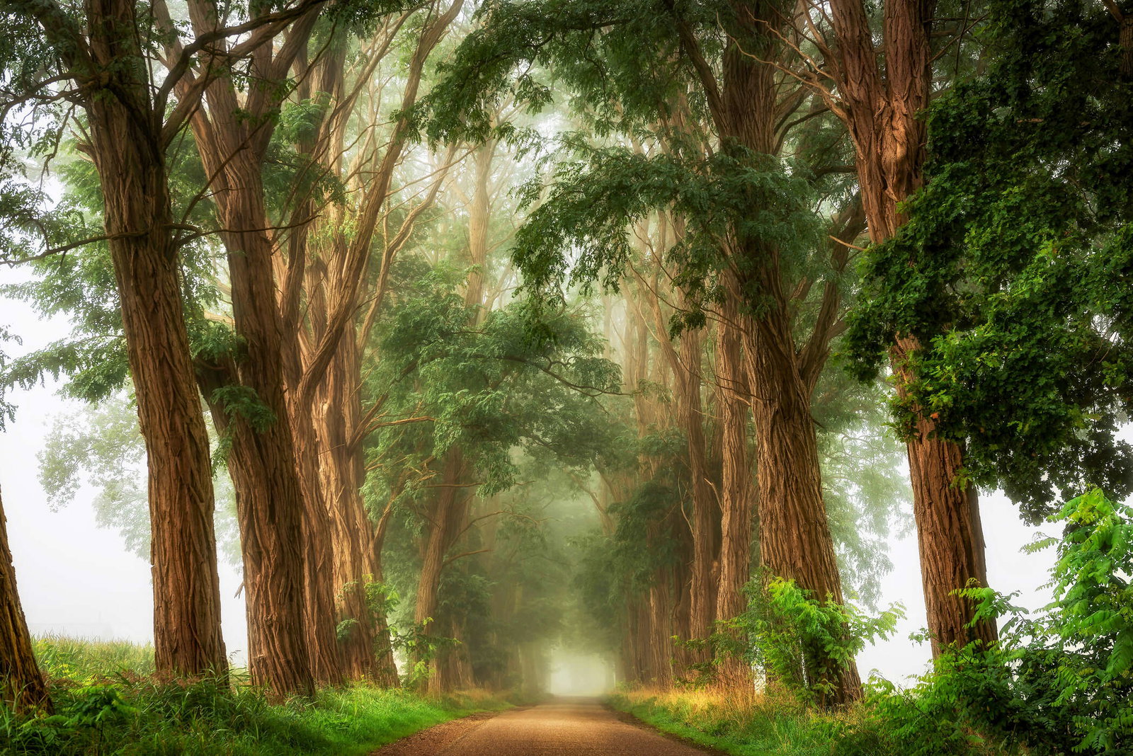 Architects Paper Fototapete AP Digital 4