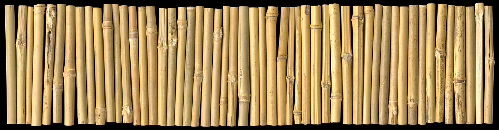 Architects Paper Photo wallpaper AP Digital 4