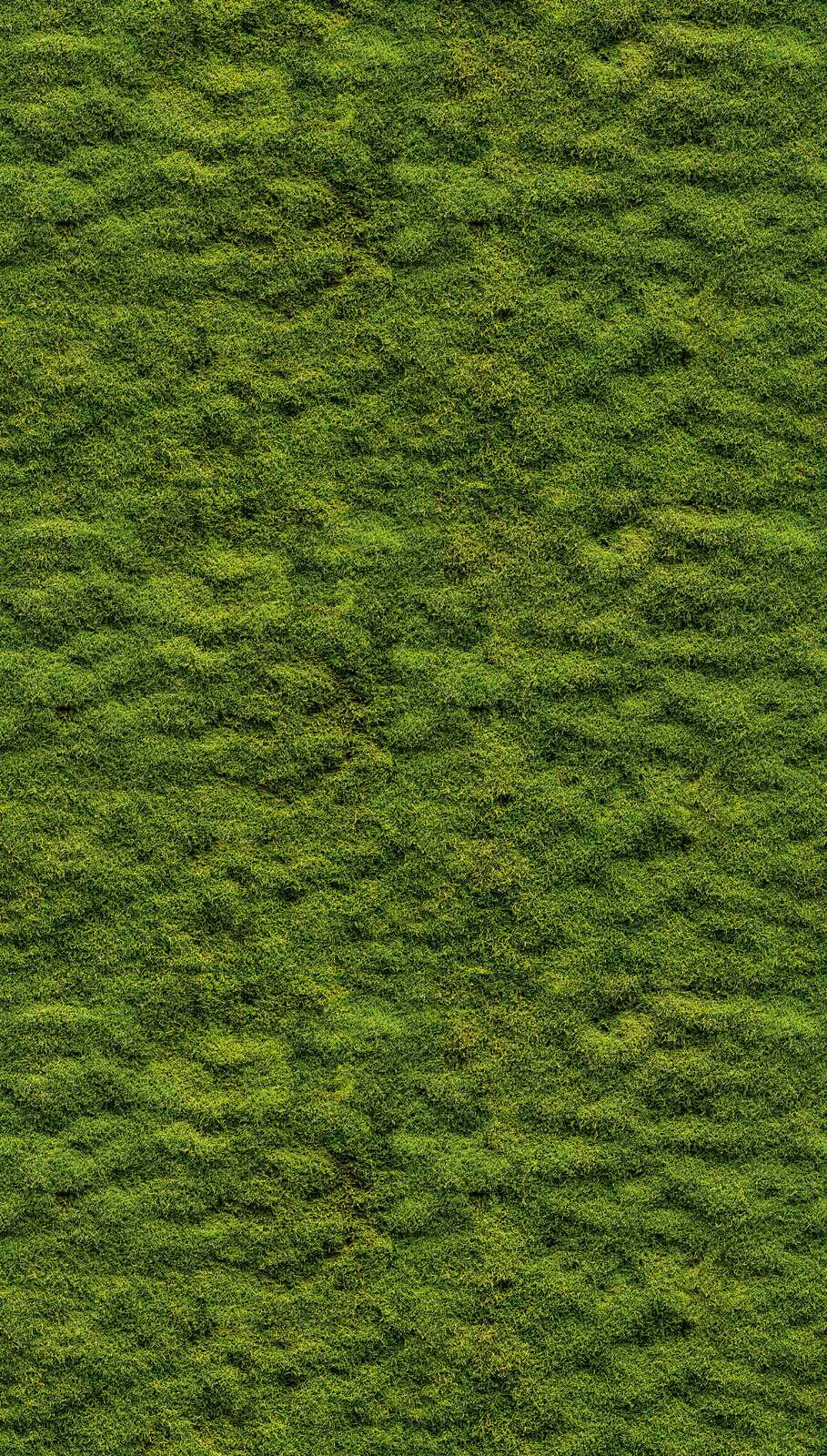 livingwalls Behang The Wall 3