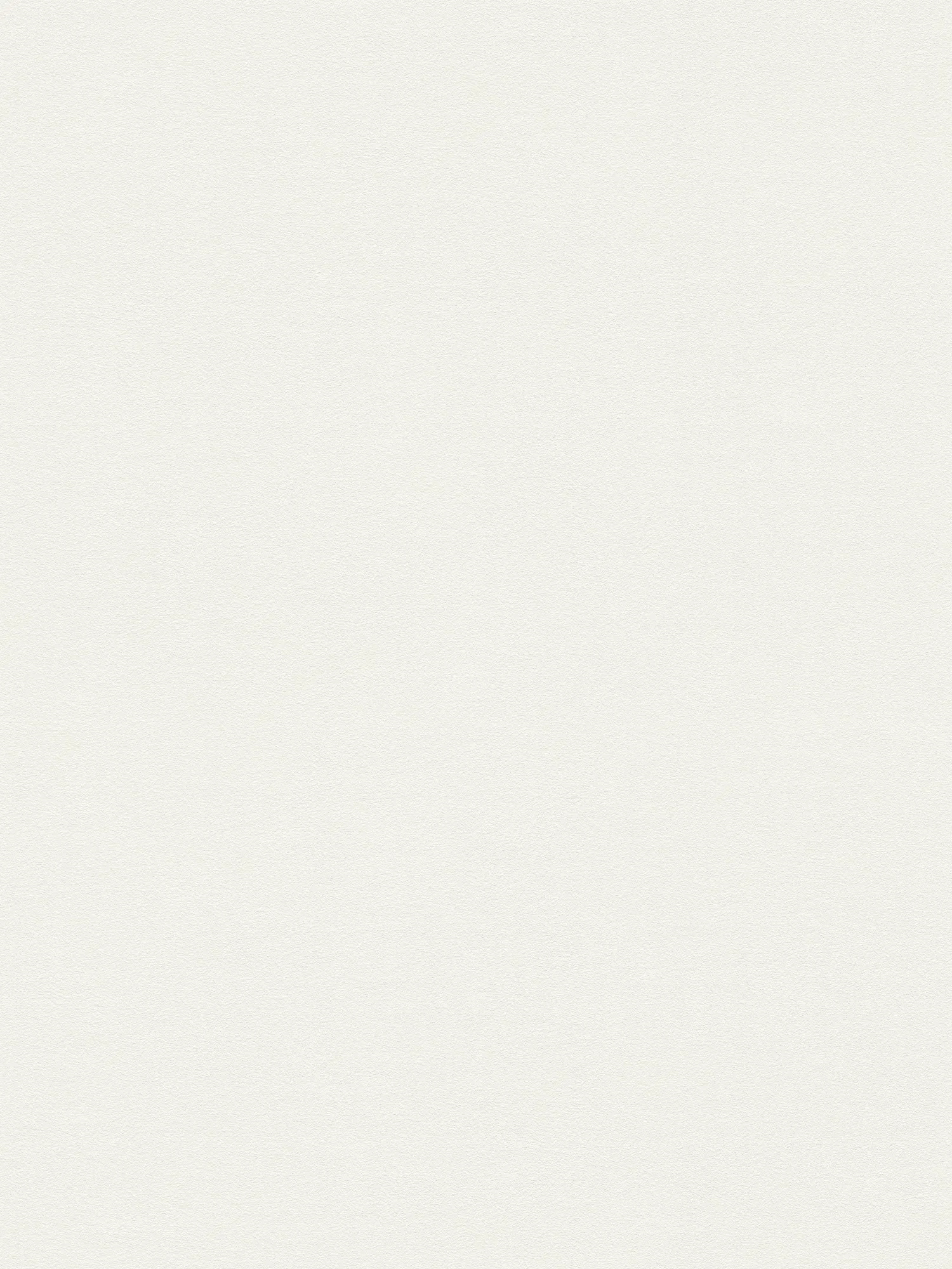A.S. Création papier peint Attractive 3