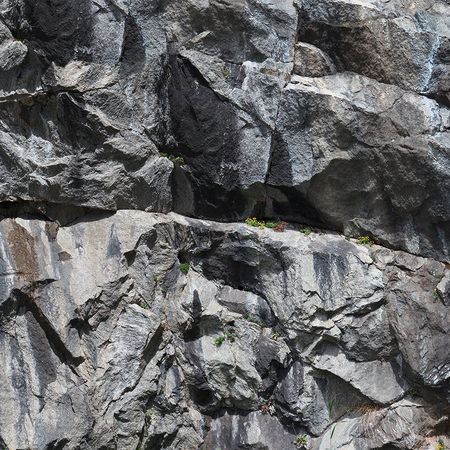 Architects Paper Photo wallpaper AP Digital 2