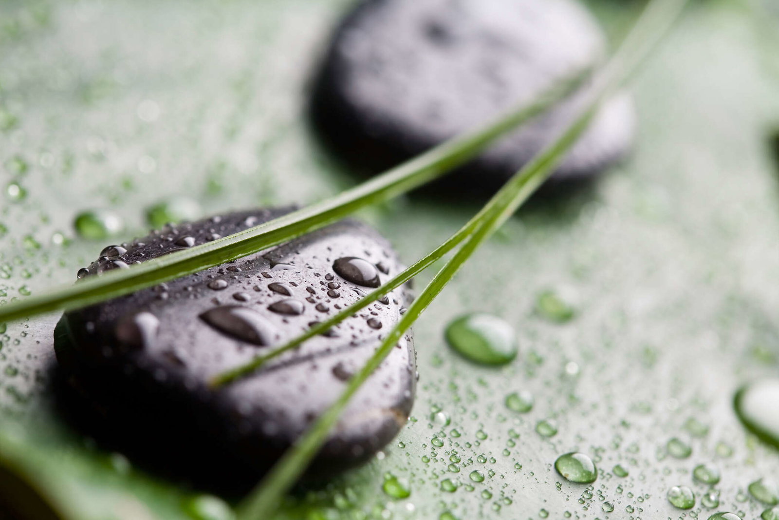 livingwalls Fotobehang Nature