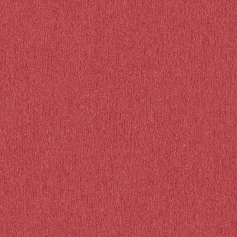 A.S. Création papier peint Little Love