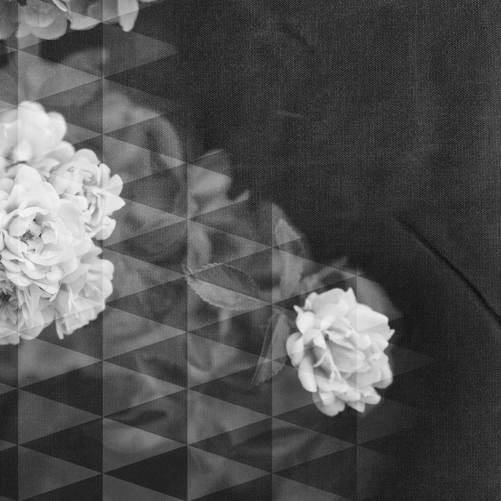 Architects Paper Fototapete AP Digital 4 Architects Paper Fototapete AP Digital 4