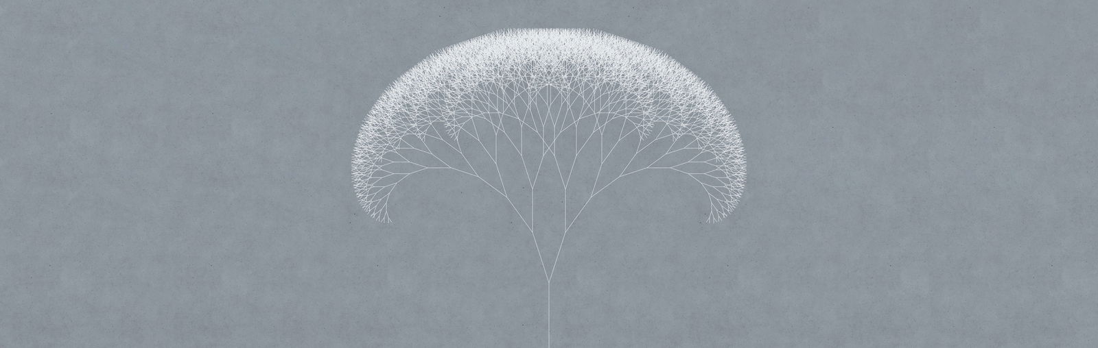 walls by patel impression numérique Walls by Patel