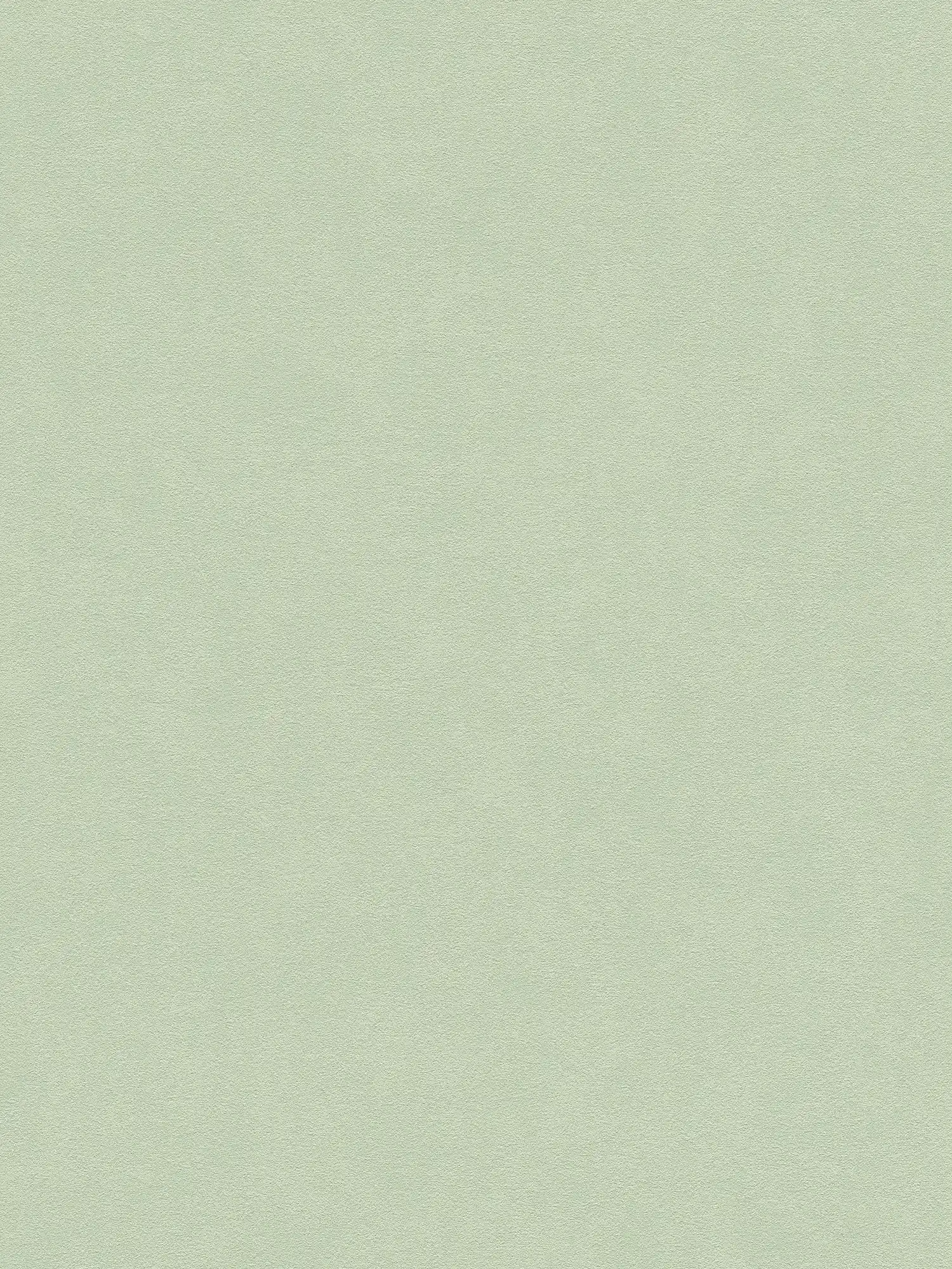 A.S. Création Wallpaper Attractive 3