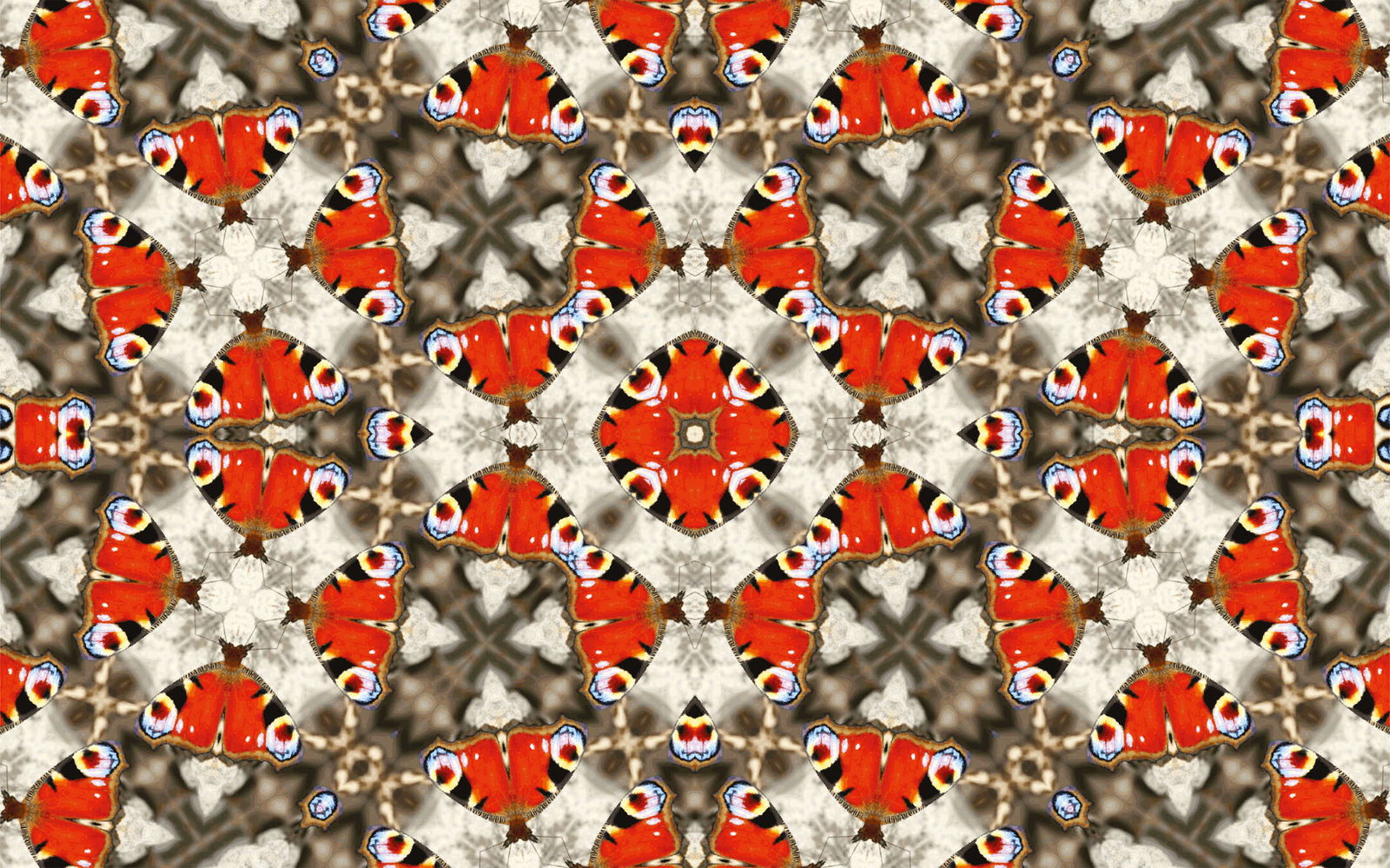 Architects Paper Fototapete AP Digital