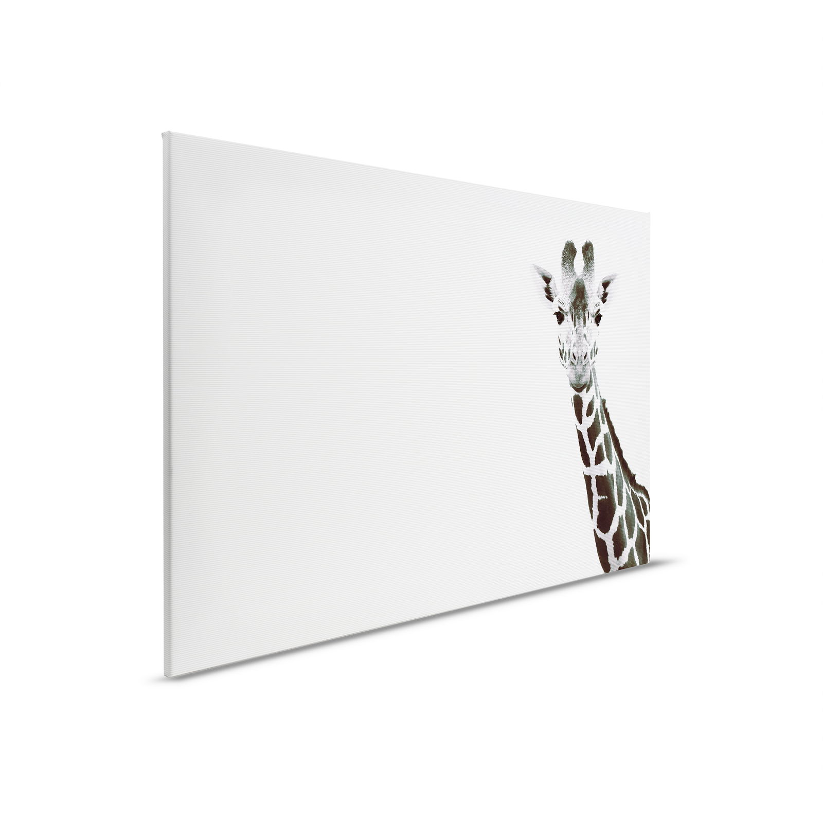 livingwalls Canvas print ARTist
