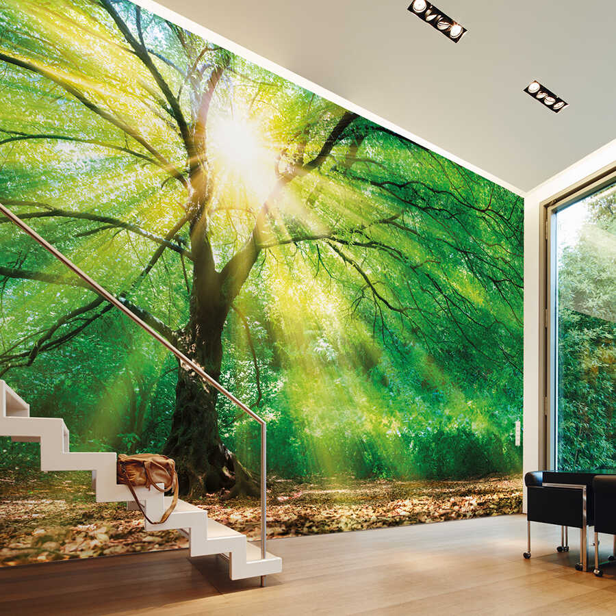 livingwalls Fototapete Designwalls