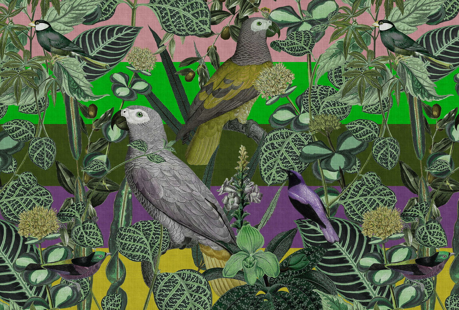 walls by patel Фотообои Walls by Patel 4