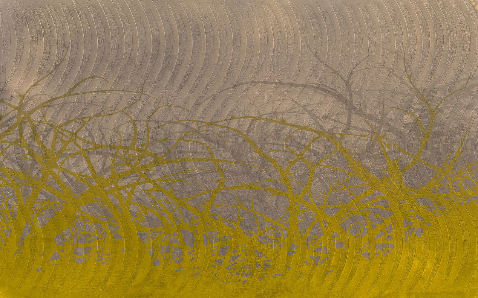 Architects Paper Fototapete Atelier 47