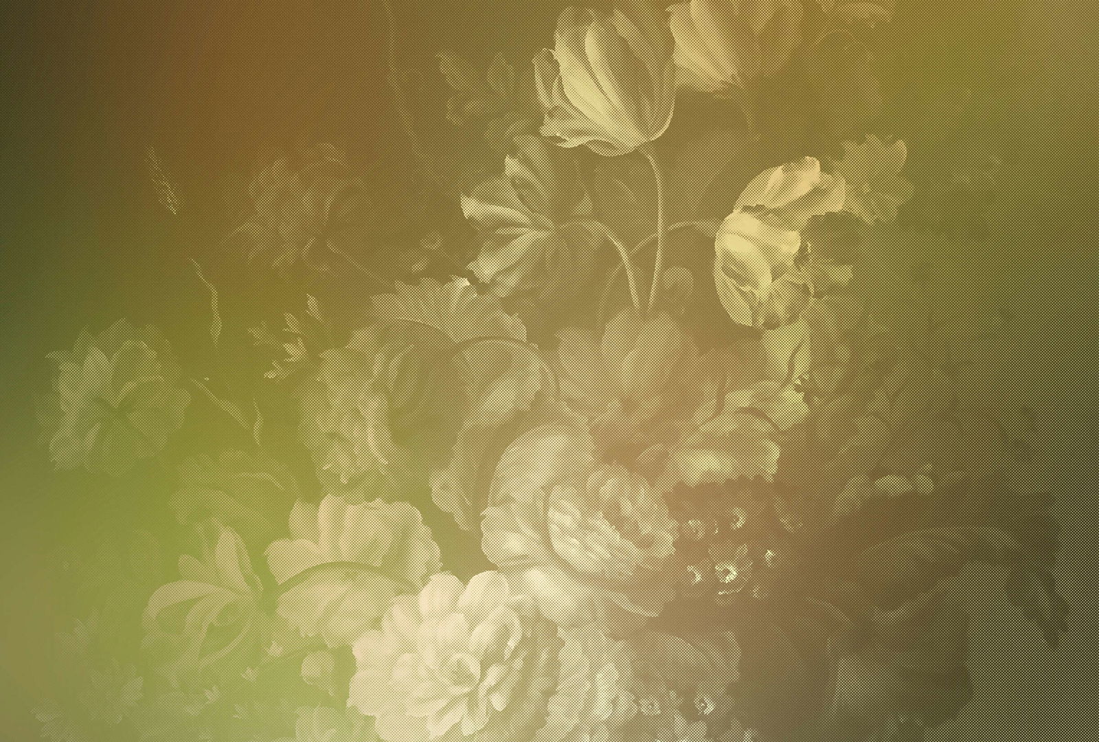 walls by patel Photo wallpaper Walls by Patel 2