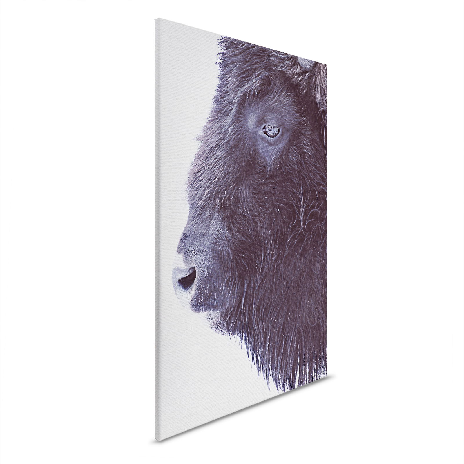 livingwalls tableau sur toile ARTist