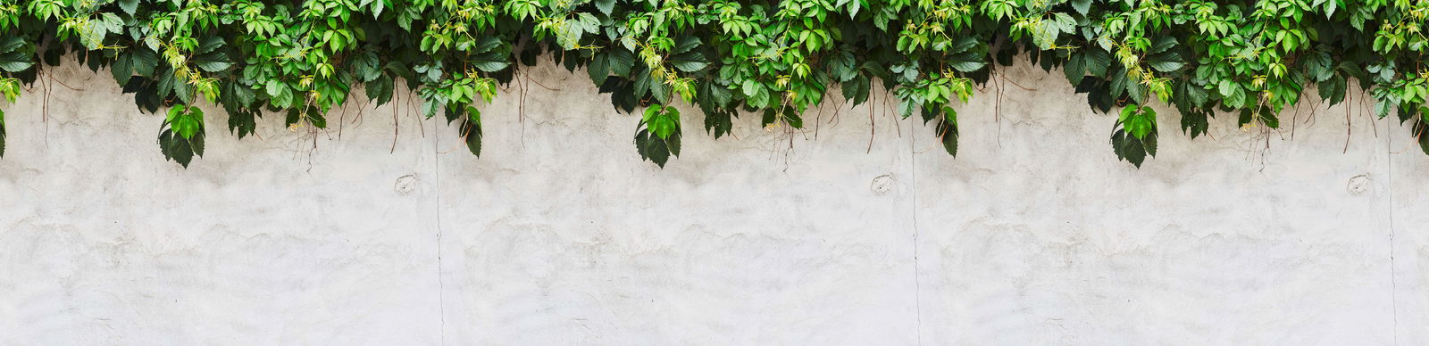 livingwalls Fototapete Designwalls 2