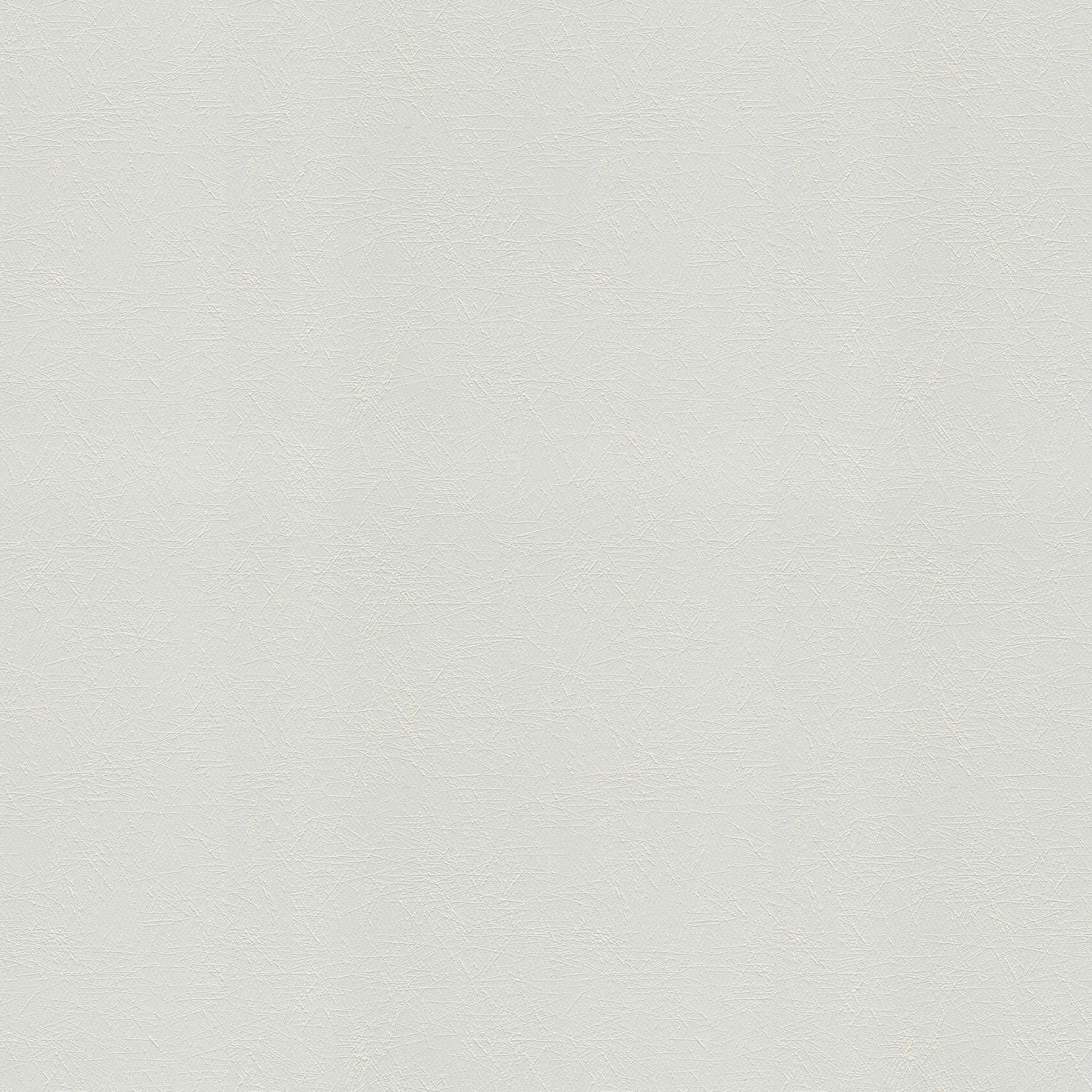 A.S. Création Tapete Meistervlies Create A.S. Création Tapete Meistervlies Create