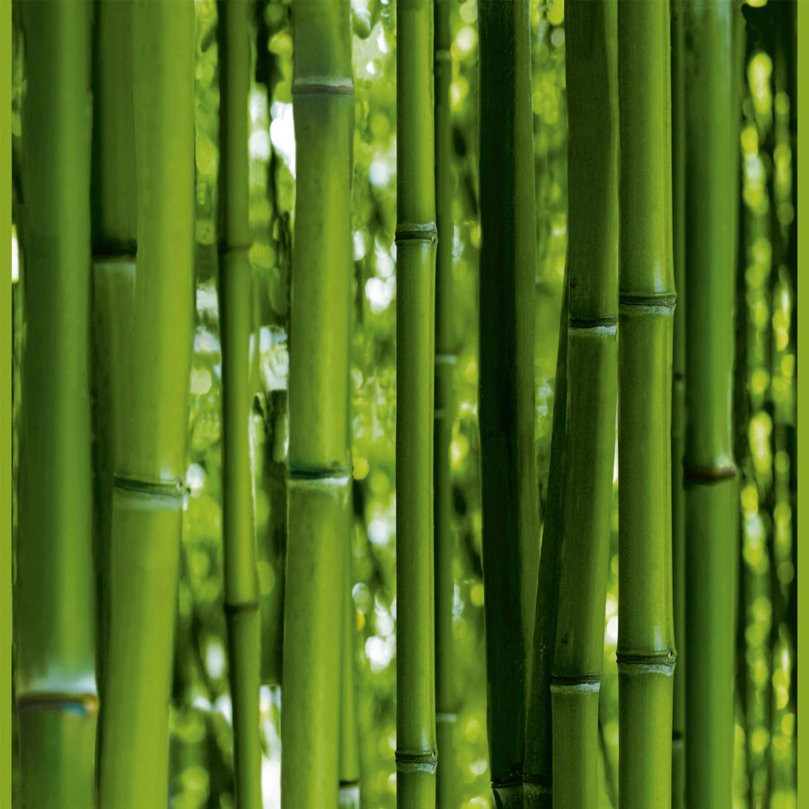 livingwalls Designpanel pop.up panel