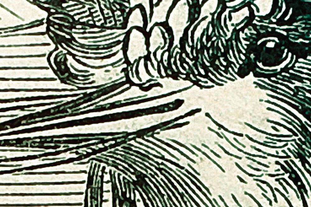 walls by patel impression numérique Walls by Patel