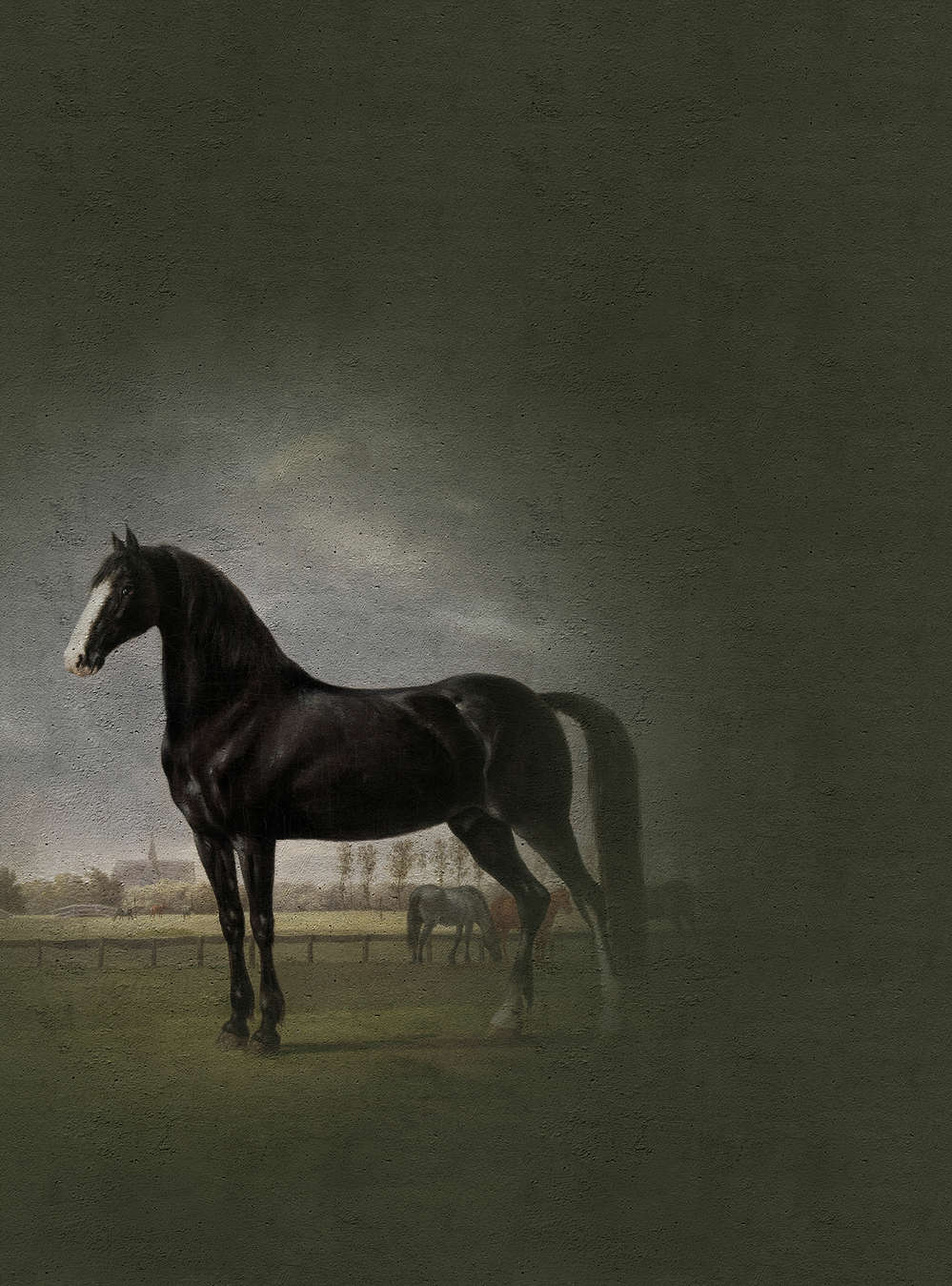 walls by patel Photo wallpaper Walls by Patel walls by patel Photo wallpaper Walls by Patel