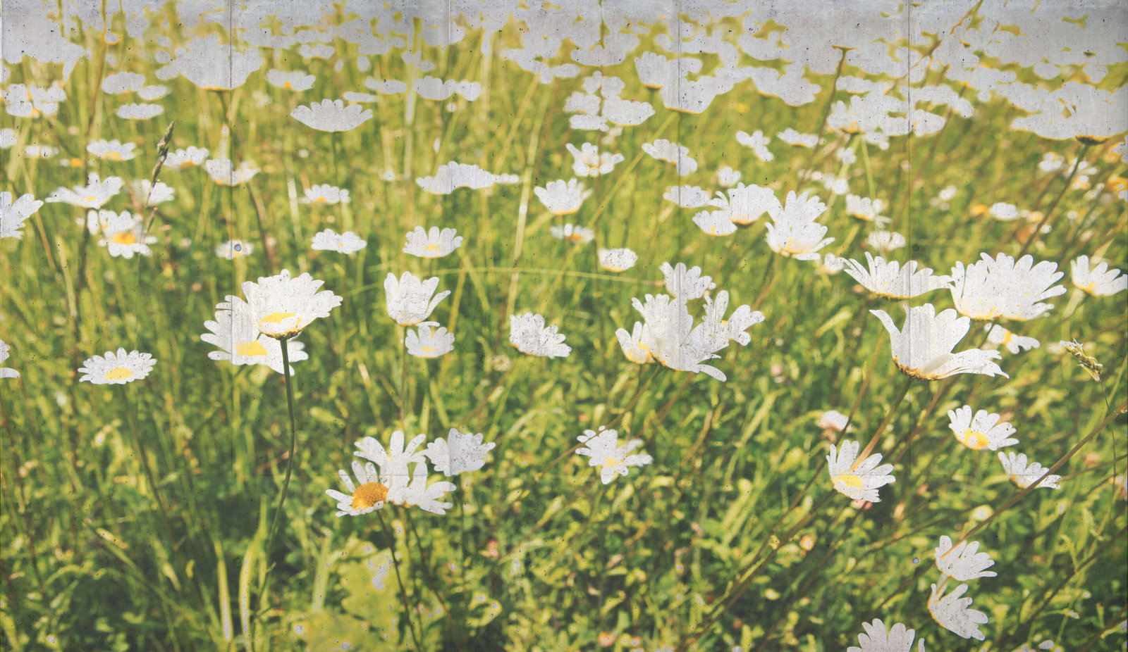 Architects Paper Fototapete AP Digital 4