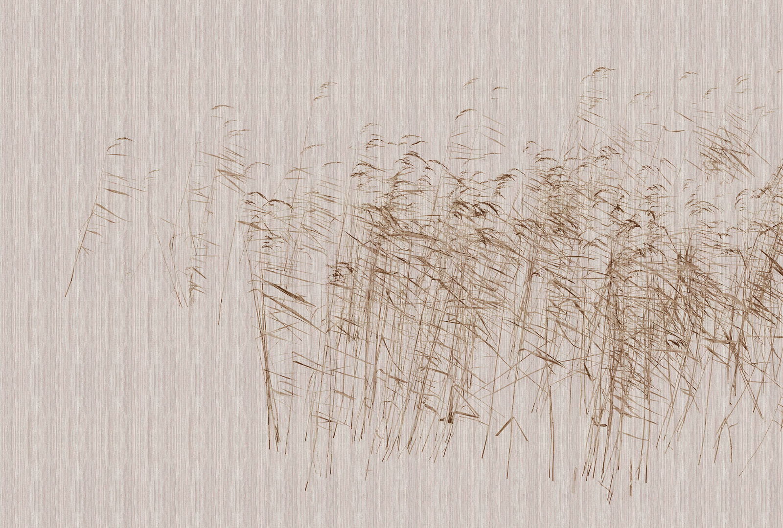 walls by patel Fototapete Walls by Patel 3 walls by patel Fototapete Walls by Patel 3