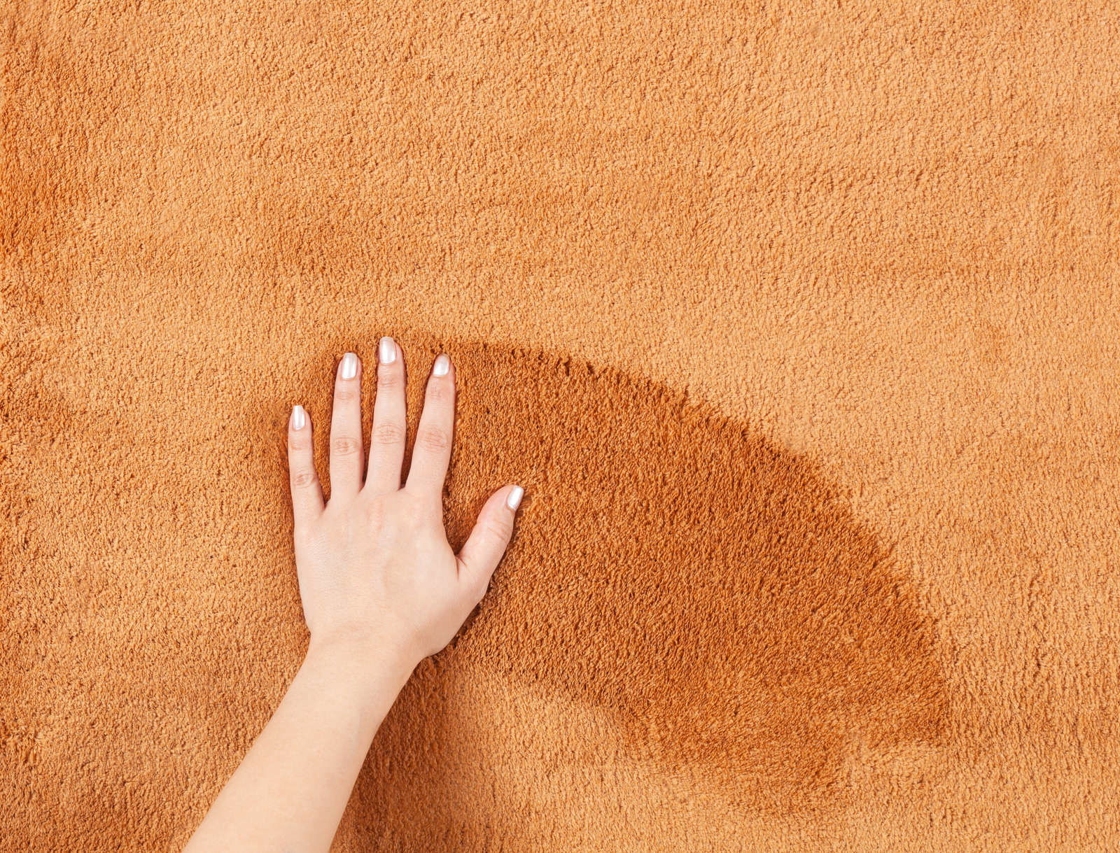 A.S. Création Rug Teppiche