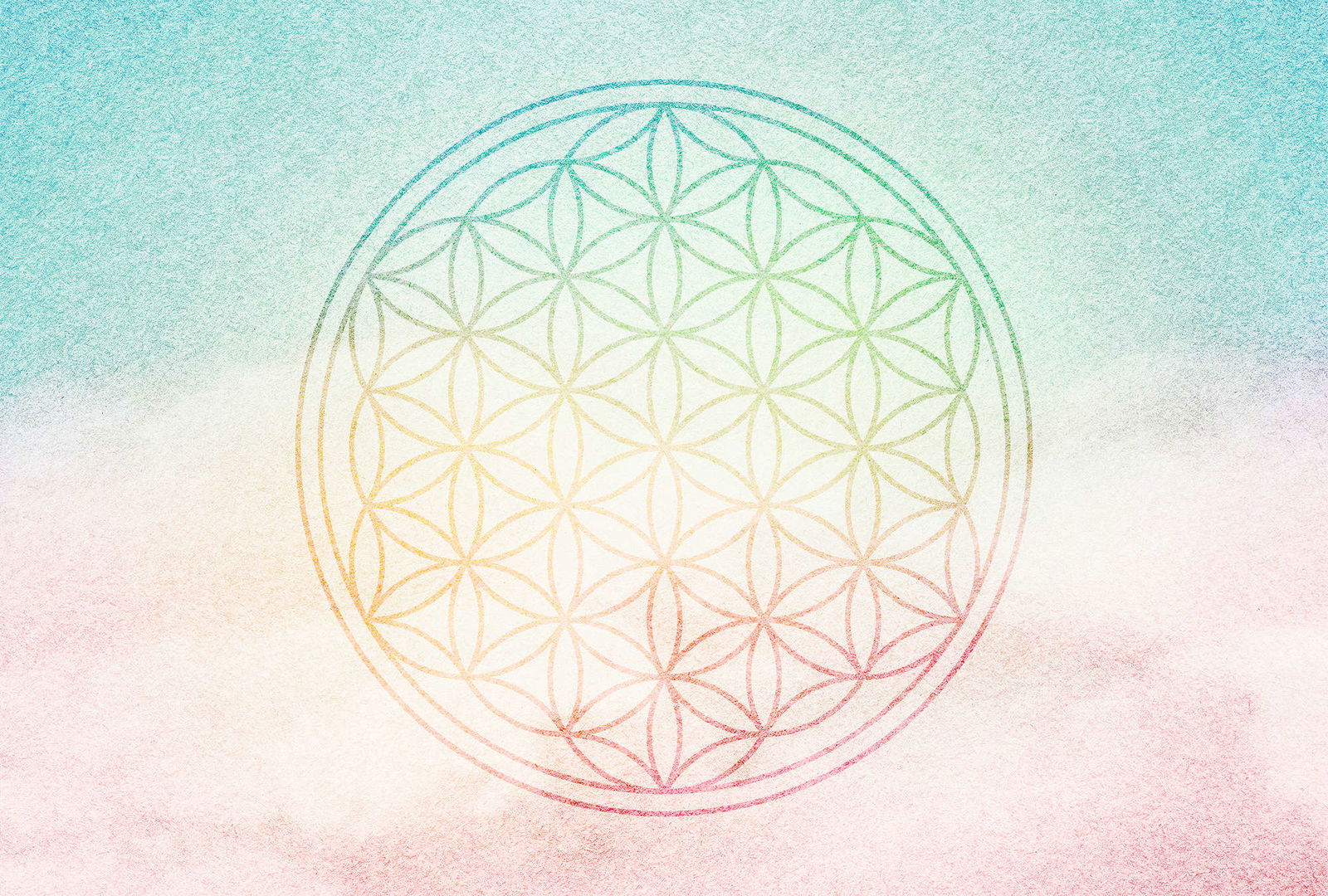 Architects Paper Fototapete Atelier 47