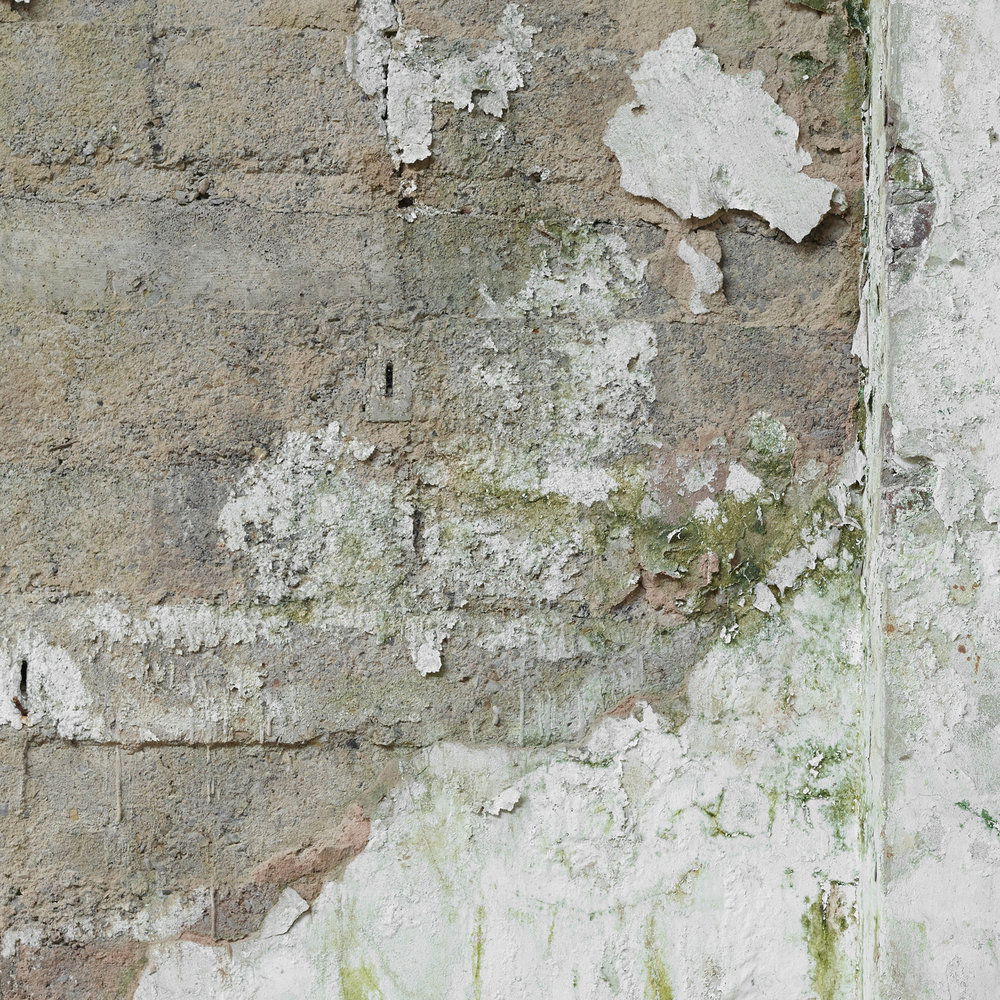 Architects Paper Photo wallpaper AP Digital 4