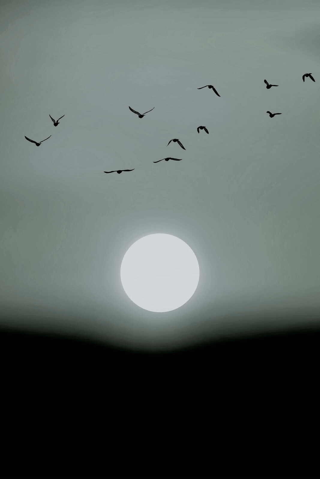 livingwalls tableau sur toile ARTist