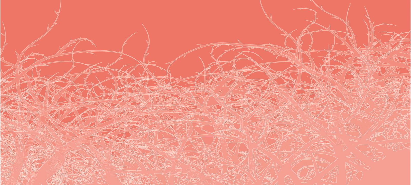 Architects Paper Фотообои Atelier 47