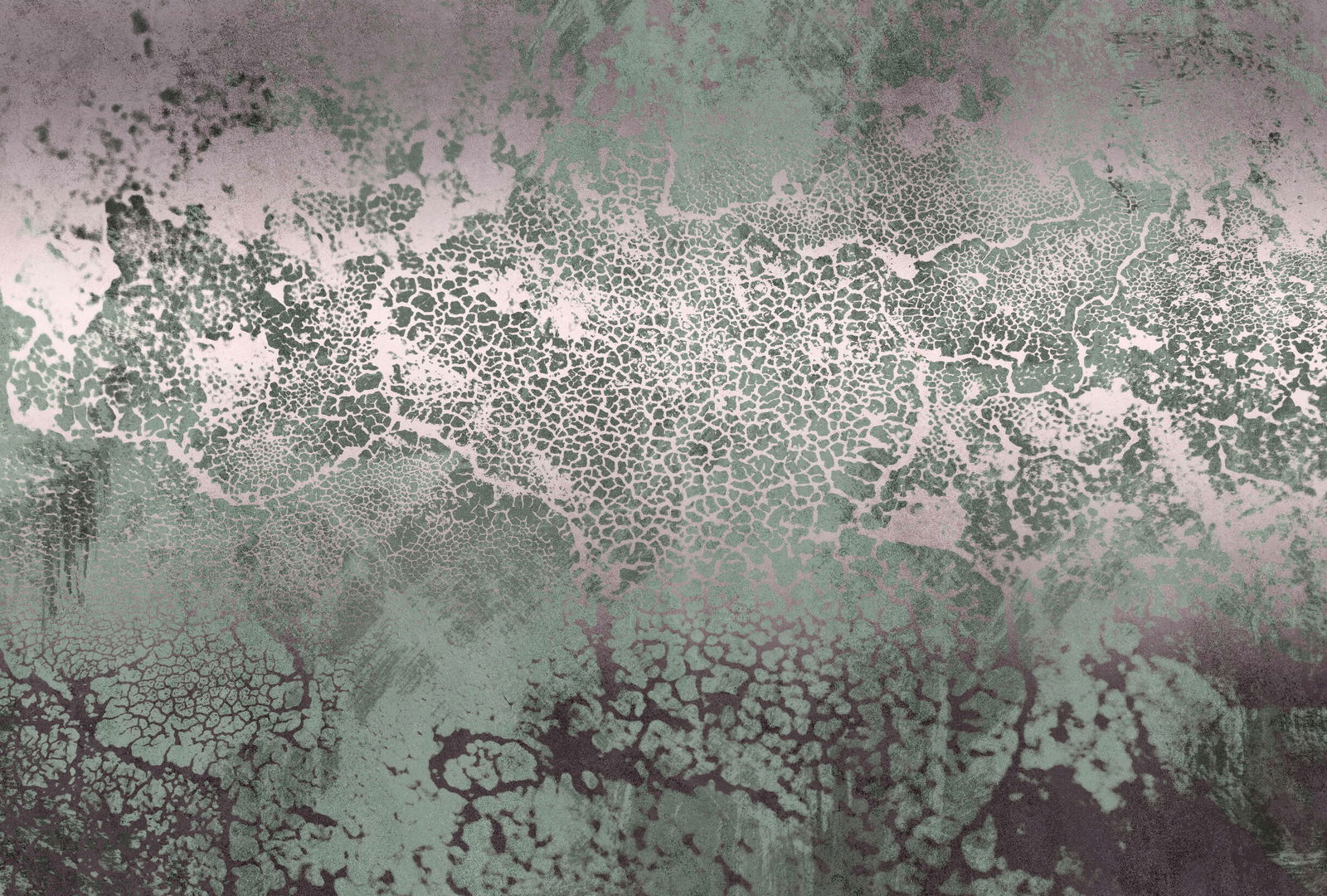 walls by patel Photo wallpaper Walls by Patel 5