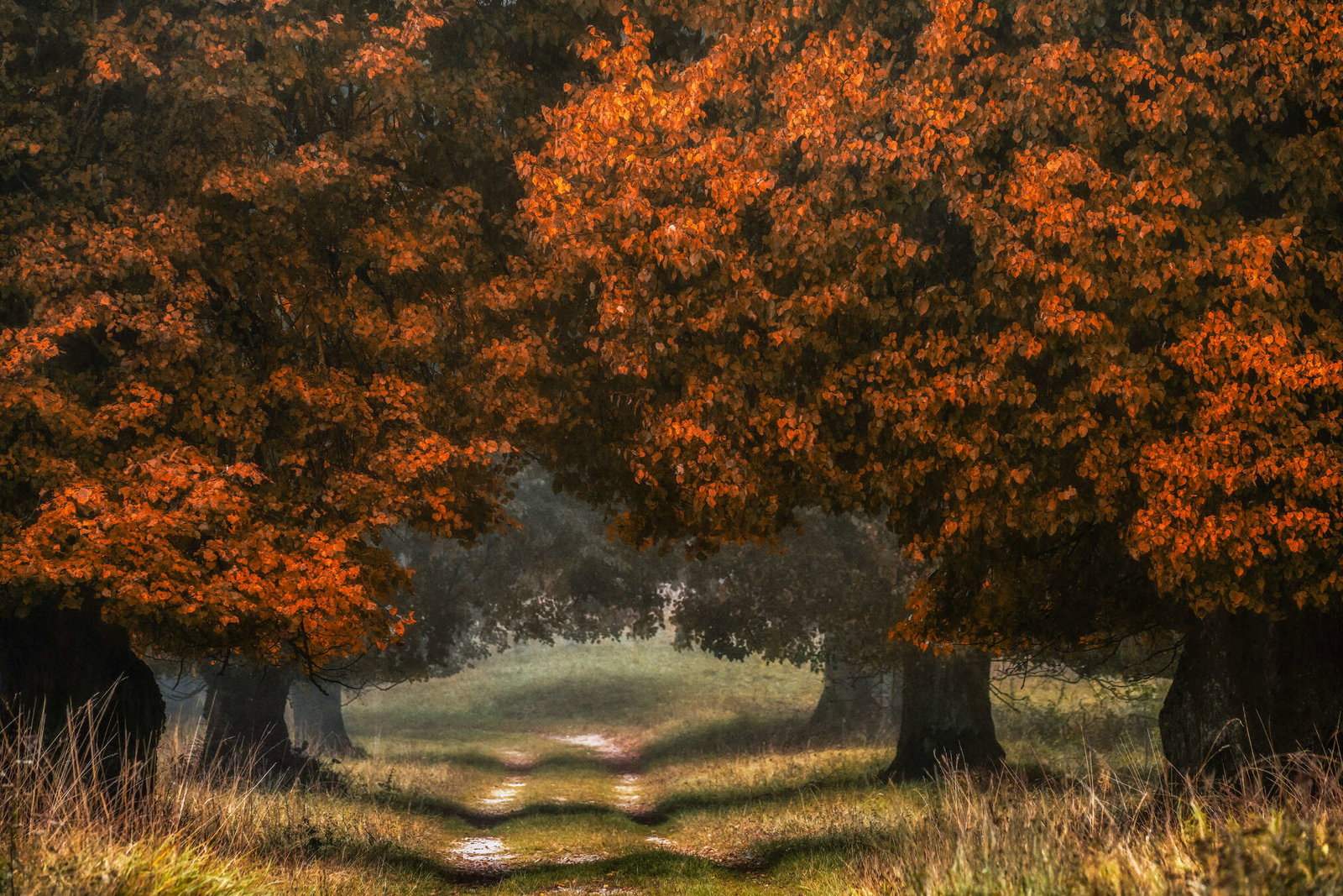 Architects Paper Fototapete AP Digital 4