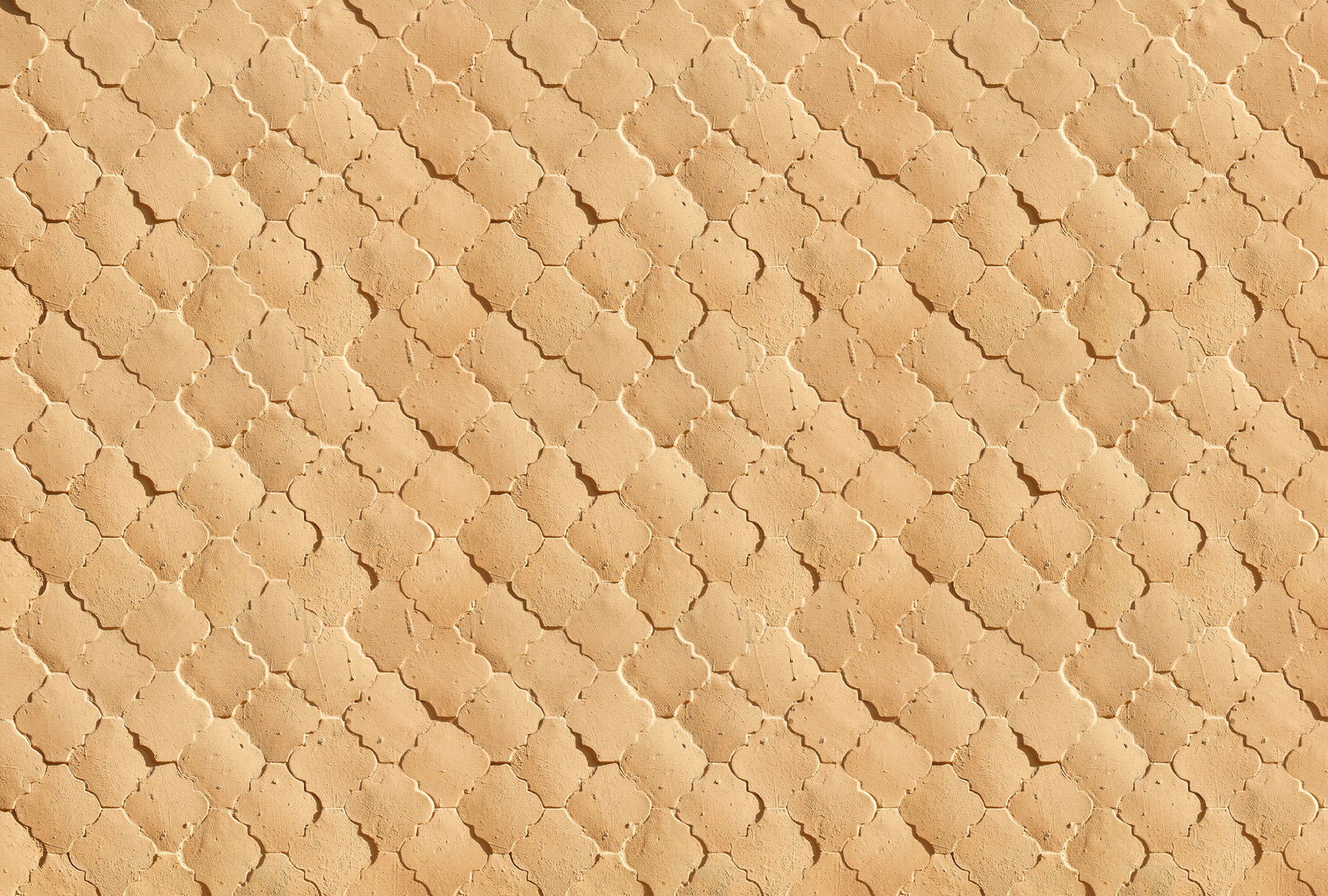 walls by patel Фотообои Walls by Patel 4