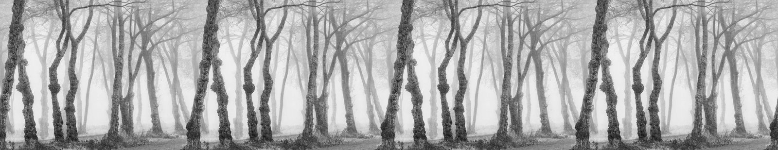 Architects Paper Fototapete AP Digital 4