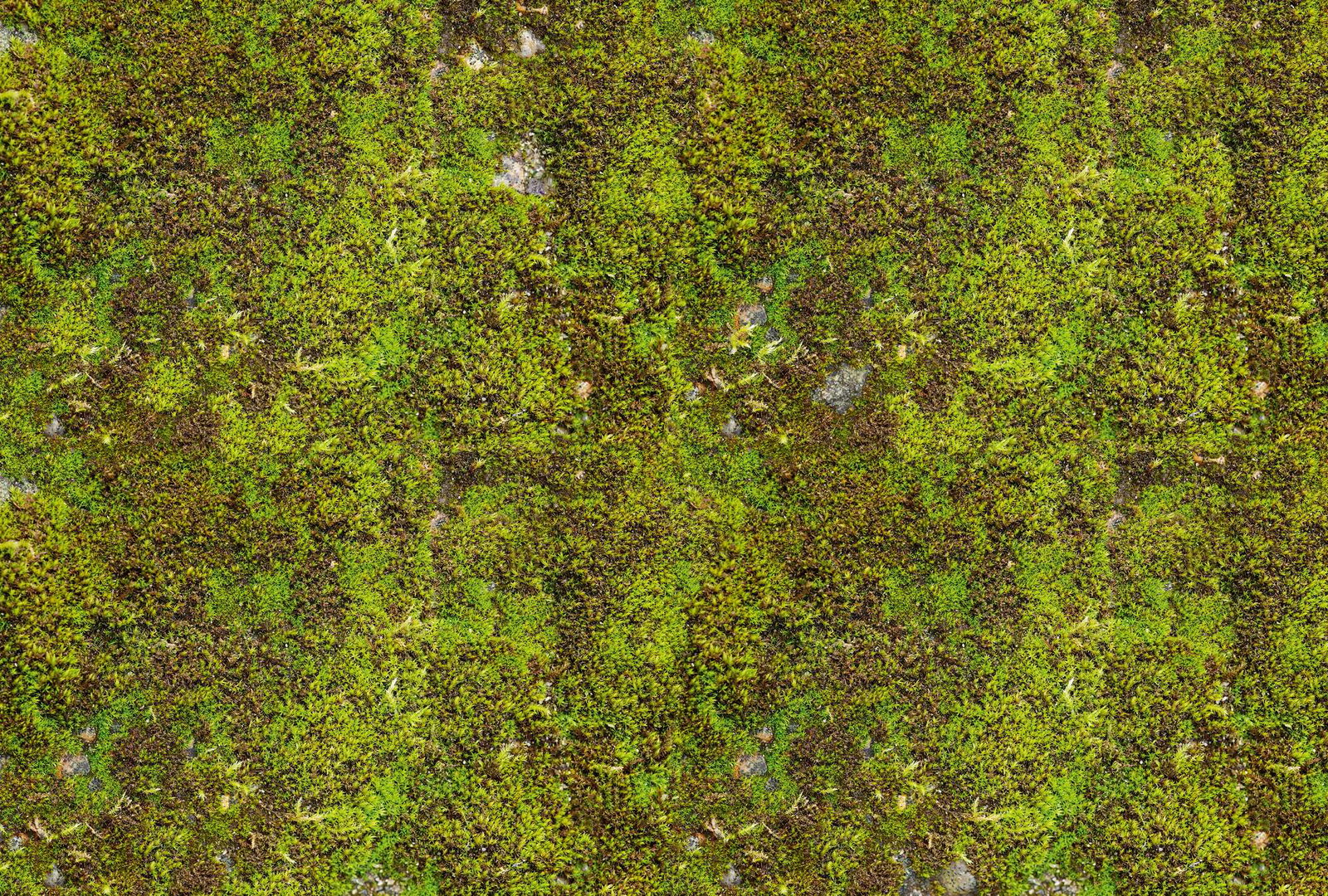 Architects Paper impression numérique AP Digital 2