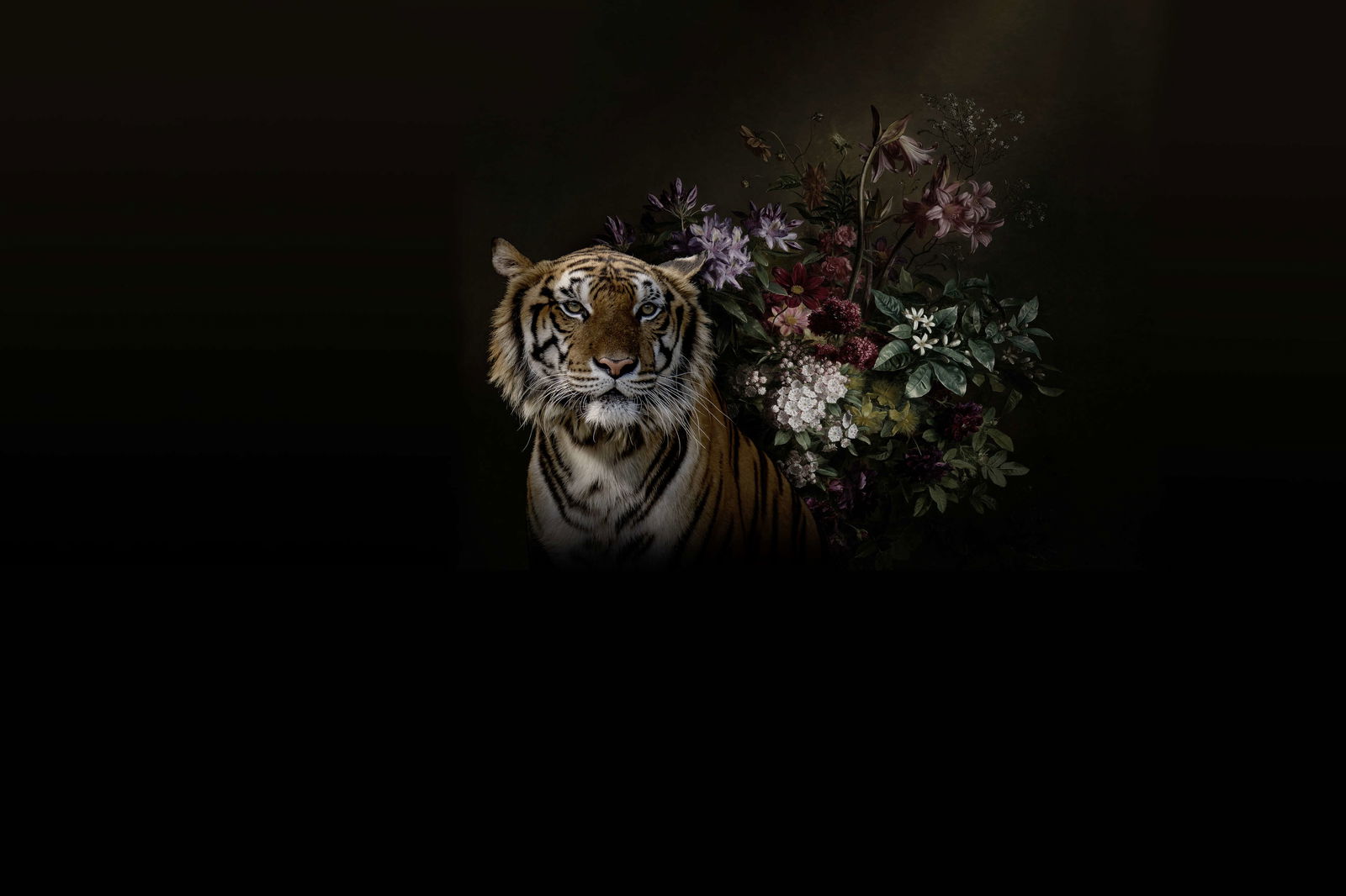 walls by patel impression numérique Walls by Patel