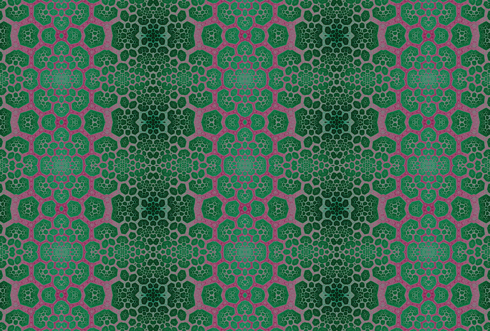 walls by patel impression numérique Walls by Patel