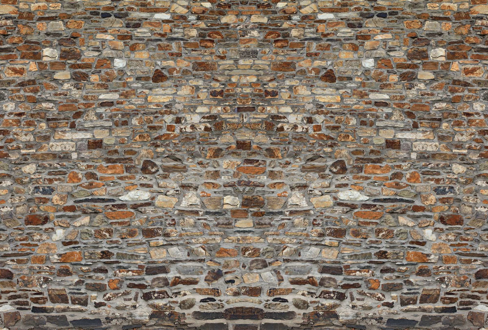 Architects Paper Fototapete AP Digital