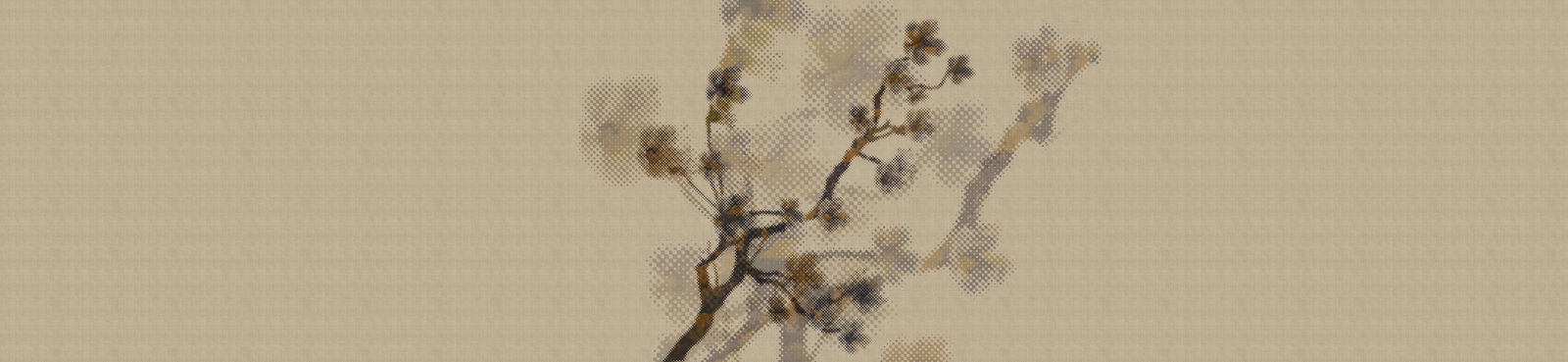 walls by patel Photo wallpaper Walls by Patel 2