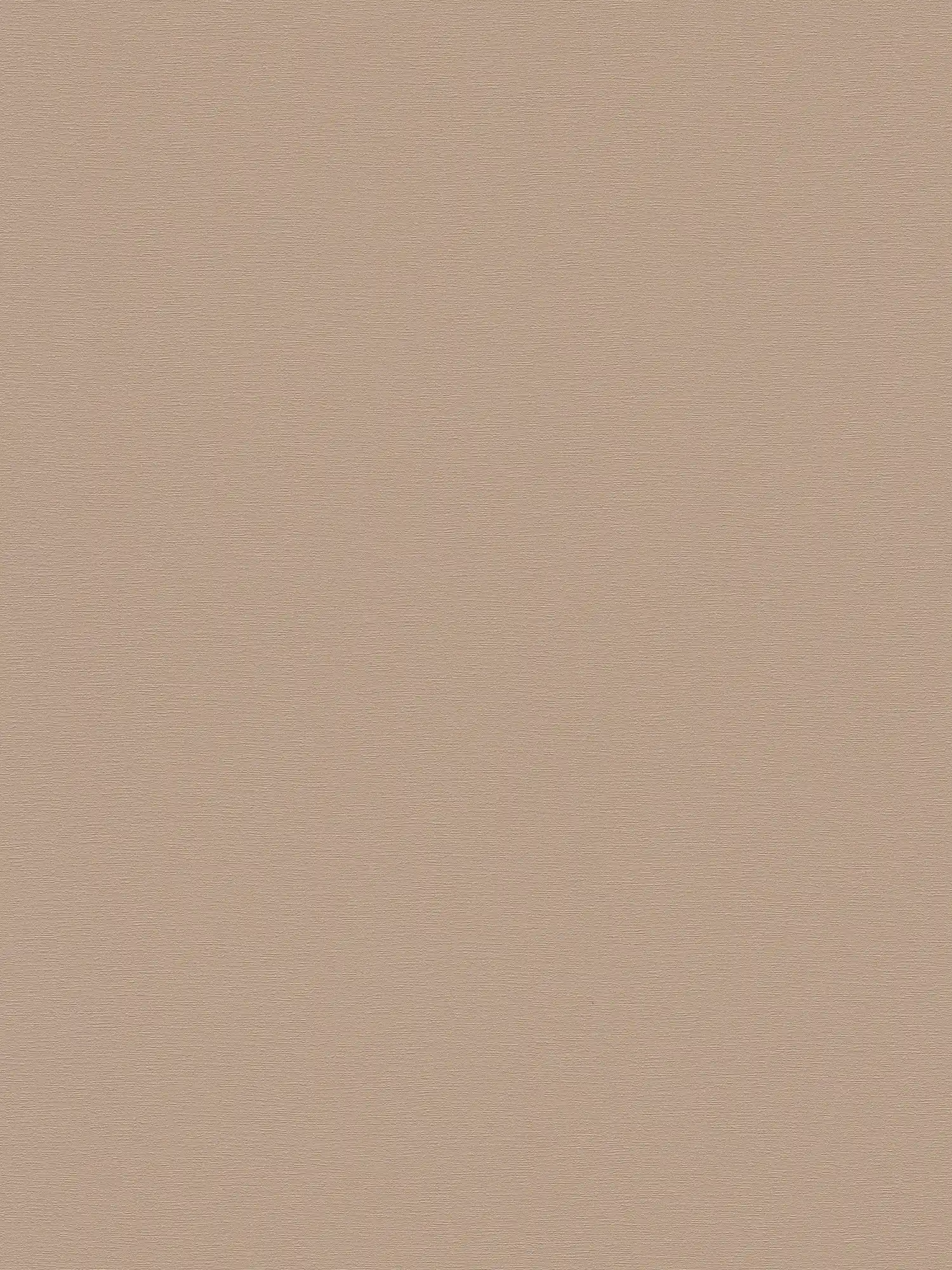 A.S. Création Wallpaper French Affair